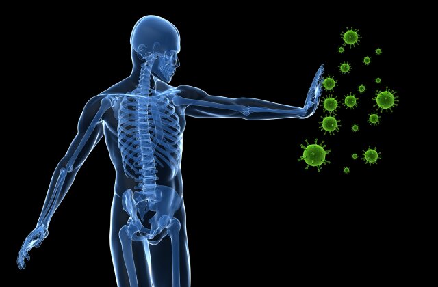 A new experimental tool reveals how immune cells find their targets
