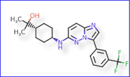 FDA Grants Fast Track Designation to Nuvisertib in Myelofibrosis