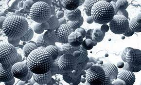 Microparticles could be used to deliver “self-boosting” vaccines