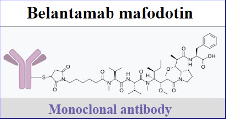 CHMP recommends GSK’s Blenrep 