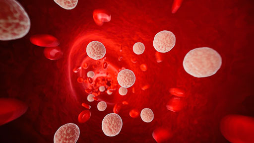 AstraZeneca’s AZD8233 Shows Positive Results for Hypercholesterolemia