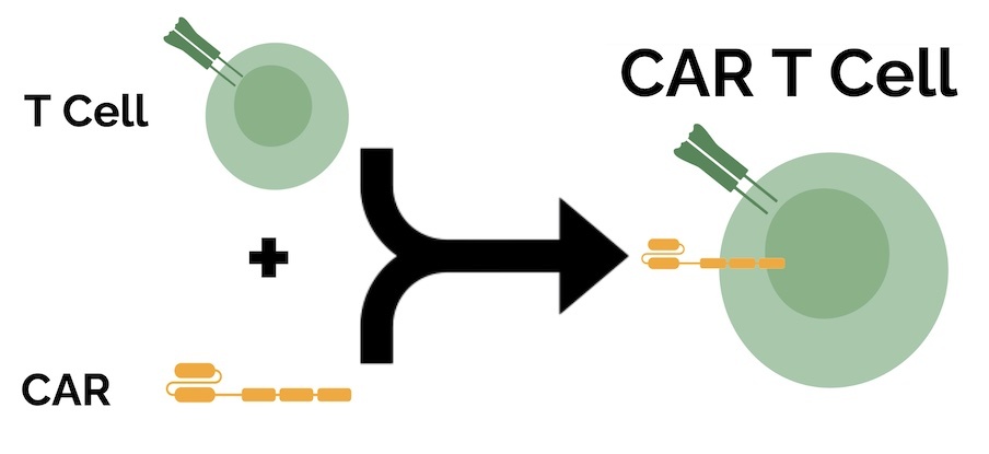 CRISPR Therapeutics Receives Regenerative Medicine Advanced Therapy Nod