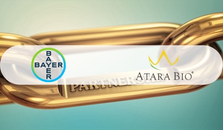 Bayer bails on $670m CAR-T partnership with Atara