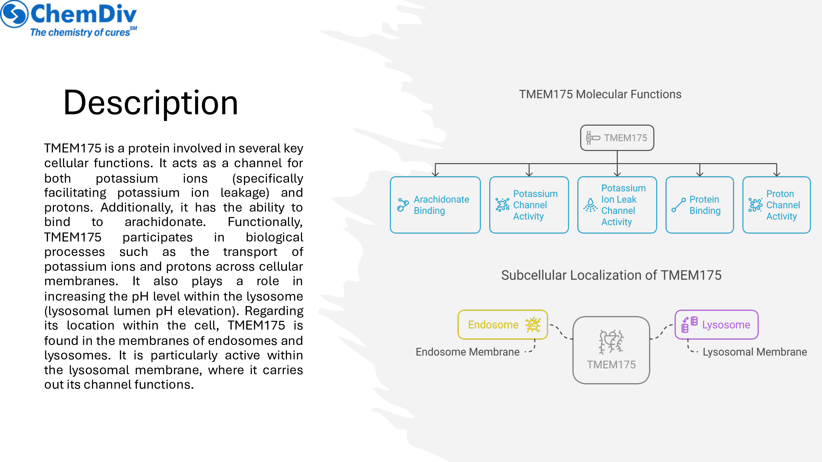  Transmembrane protein Library