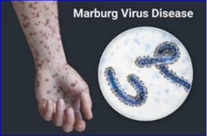 FDA confirms Animal Rule