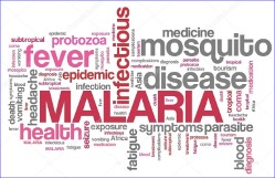 Dr Reddy’s, Aurigene and Kainomyx to co-develop anti-malarials
