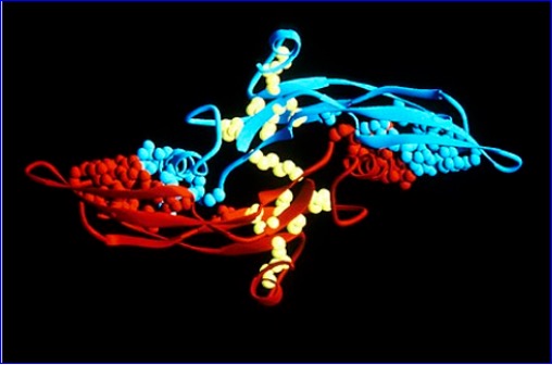 IO Biotech Announces