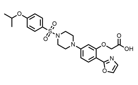 Nature Paper: BioAge’s Oral Drug Targeting the Aging Immune System Prevents Death From COVID-19 in Aged Mice