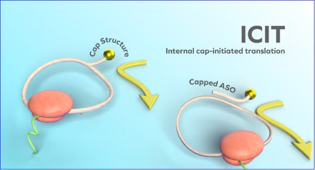 Japanese researchers enhance mRNA