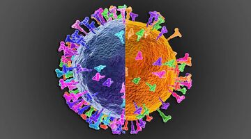 "Deltacron" with genes of Delta and Omicron found
