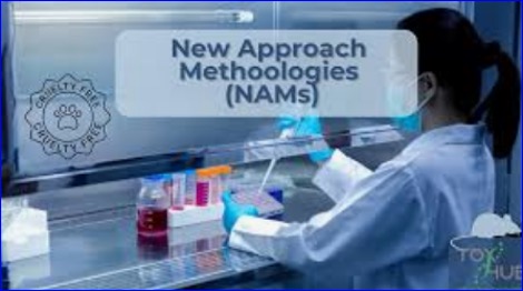 FDA phasing out animal testing in preclinical safety studies