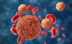 Researchers identify molecular mechanisms leading to zika-associated microcephaly