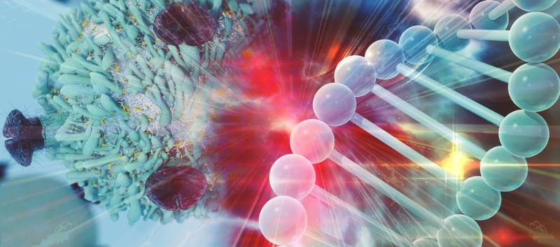 FDA Accepts BioMarin’s BLA Resubmission of AAV Gene Therapy for Severe Hemophilia A