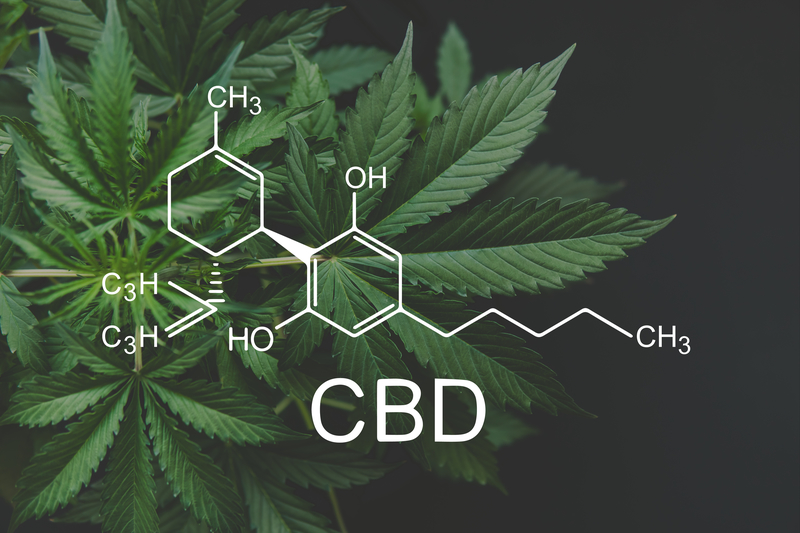 Cannabinoids may prevent infection with SARS-CoV-2, including variants