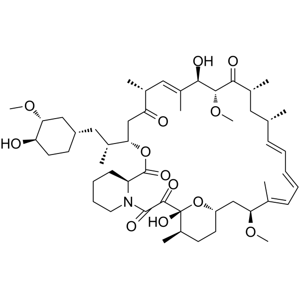 Rapamycin increases Alzheimer’s-associated plaques in mice, study finds