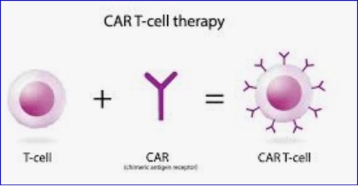 CAR-T cells engineered to attack two leukemia proteins show promise in preclinical tests