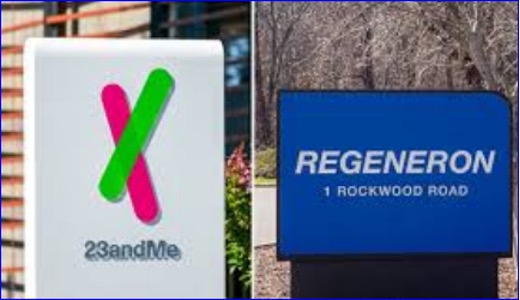 Regeneron buys bankrupt 23andMe for $256m