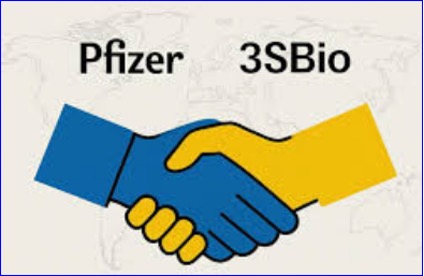 Pfizer gains rights to 3SBio’s 