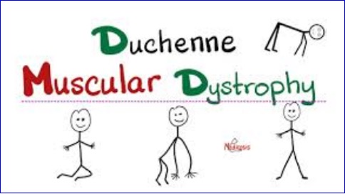 EC grants orphan drug designation to Dyne Therapeutics’ Duchenne muscular dystrophy