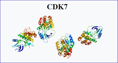 Synaffix and Qurient