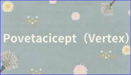 Breakthrough Therapy Designation To Povetacicept