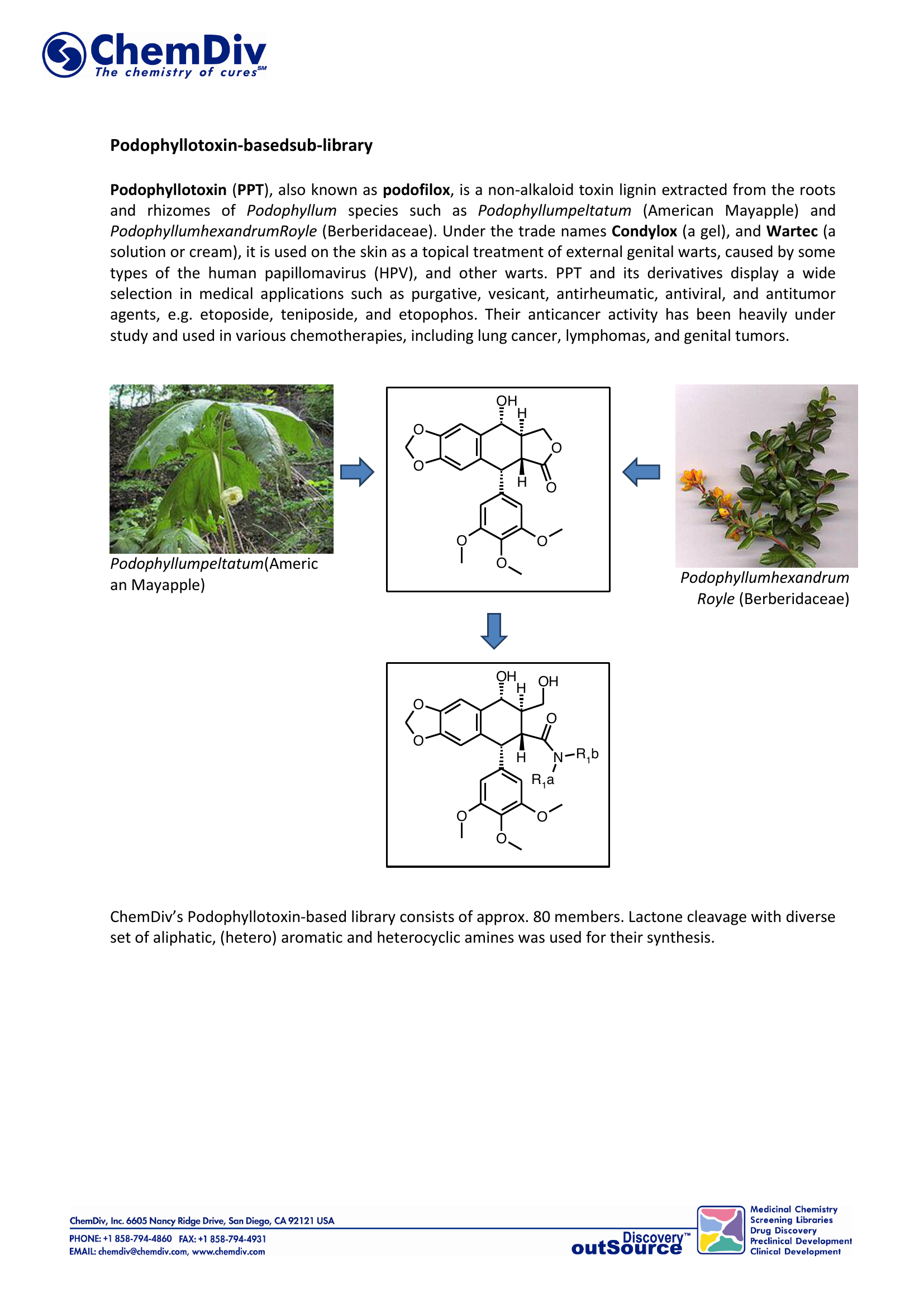  Natural Product Based Library