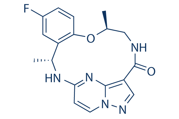 BMS Picks up High Potential NSCLC Drug in $4.1B Turning Point Acquisition