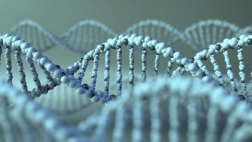 Avrobio Receives Innovation ‘Passport’ From MHRA