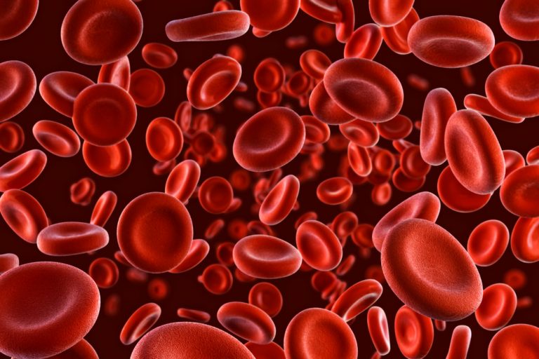 BioMarin gets first access deal in EU for gene therapy Roctavian