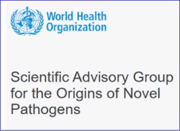 WHO Scientific Advisory Group for the Origins of Novel Pathogens reports on SARS-CoV-2 origins