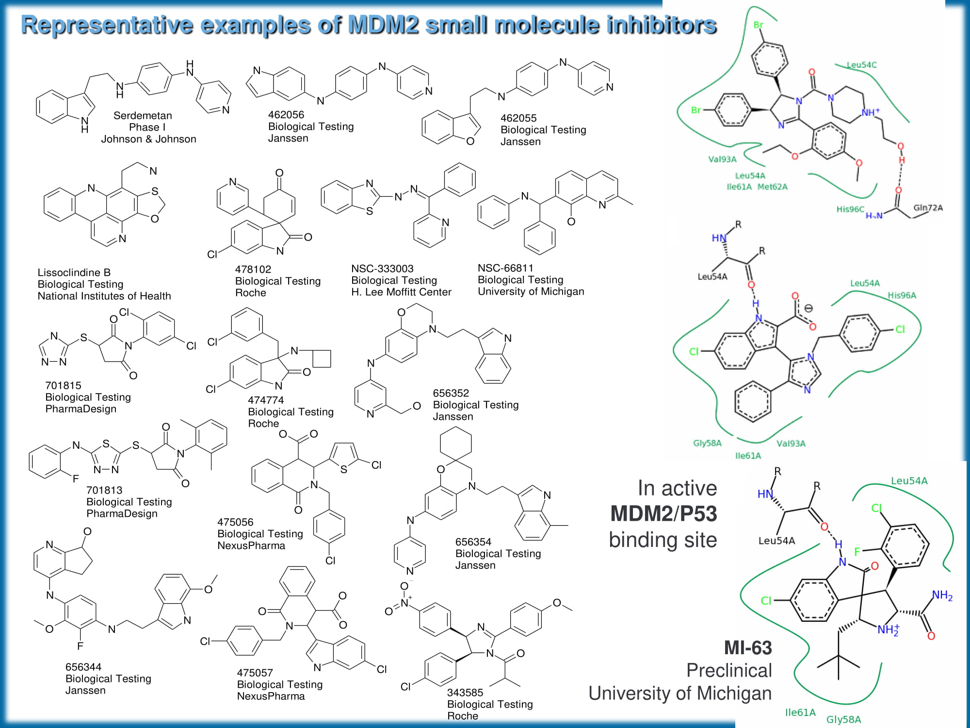  Shape Helix Mimetics PPI Library