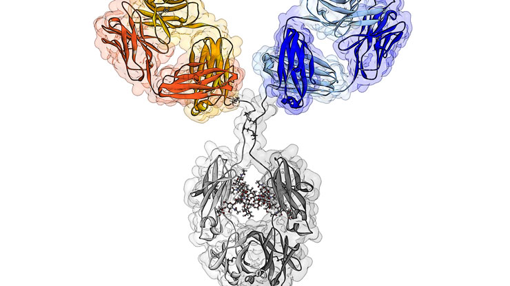 Roche’s Vabysmo Receives EU Approval