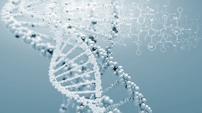 BioMarin says gene therapy hold will endure as FDA questions cancer risk