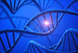 With $600M in Funding, Ultima is Removing Cost Barriers to Genomic Research