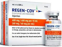 U.S. FDA delays decision on Regeneron/Roche COVID antibody therapy