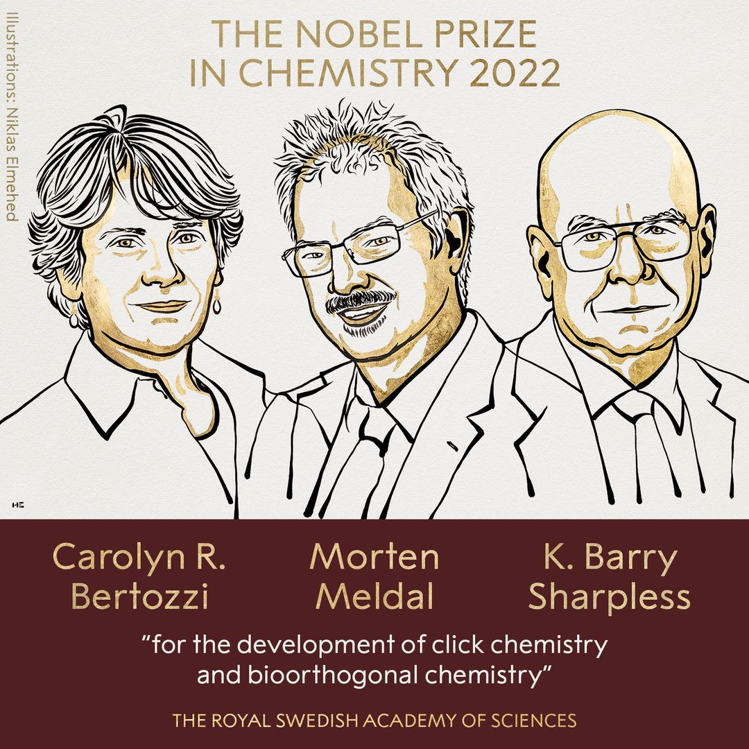 The Nobel Prize in Chemistry 2022