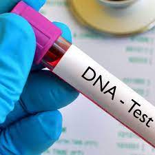 DNA test revolutionises disease diagnosis