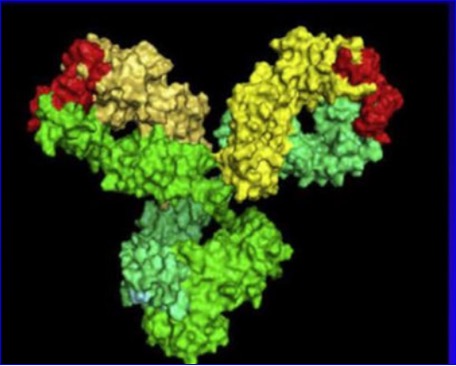 FDA Approves Expanded Indication to Tocilizumab-Anoh IV for CRS