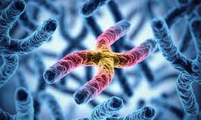 Landmark DNA study finds 58 new mutations that cause cancer