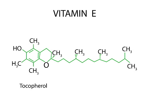 Vitamin E can boost immunotherapy responses by reinvigorating dendritic cells