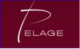 Pelage Pharmaceuticals’ alopecia