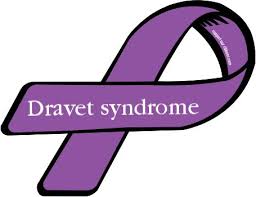 Researchers redefine the mechanisms of Dravet syndrome
