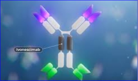 Ivonescimab Displays Preclinical Feasibility in Frontline ccRCC