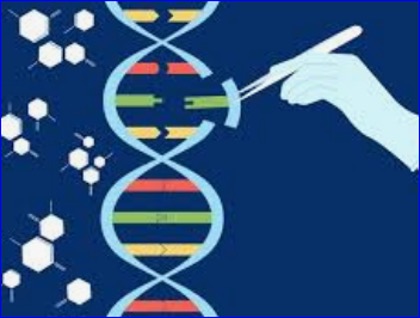 Bahrain Makes History