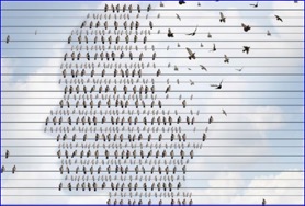 Study reveals two copies of APOE4 gene could increase risk of developing Alzheimer’s