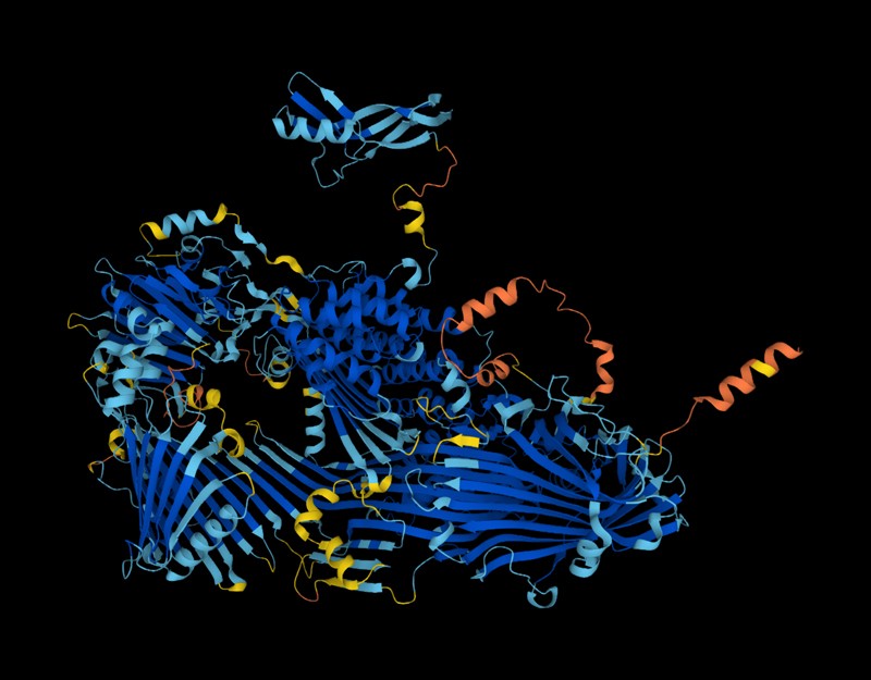 DeepMind’s AlphaFold tool has determined the structures of around 200 million proteins
