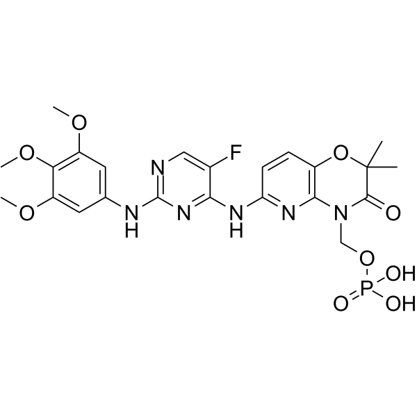 Rigel Pharmaceuticals Plans Not to File Fostamatinib sNDA Following FDA Feedback