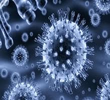 A new experimental tool reveals how immune cells find their targets