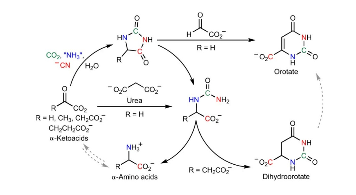 Newly discovered chemical reactions may explain the origin of life