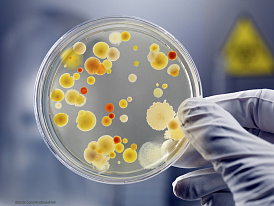Scientists discover new approach to fighting antibiotic resistance